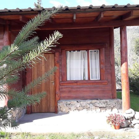 El Jarillal Chalet De Montana A Pasos Del Lago Lago Puelo Exteriör bild